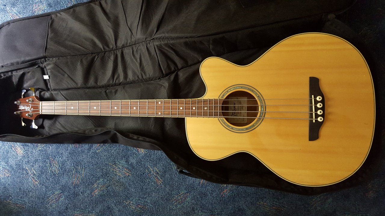 Takamine_EGB2S.jpg