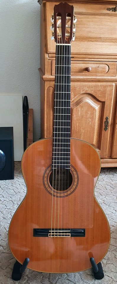 Takamine_front_2.jpg