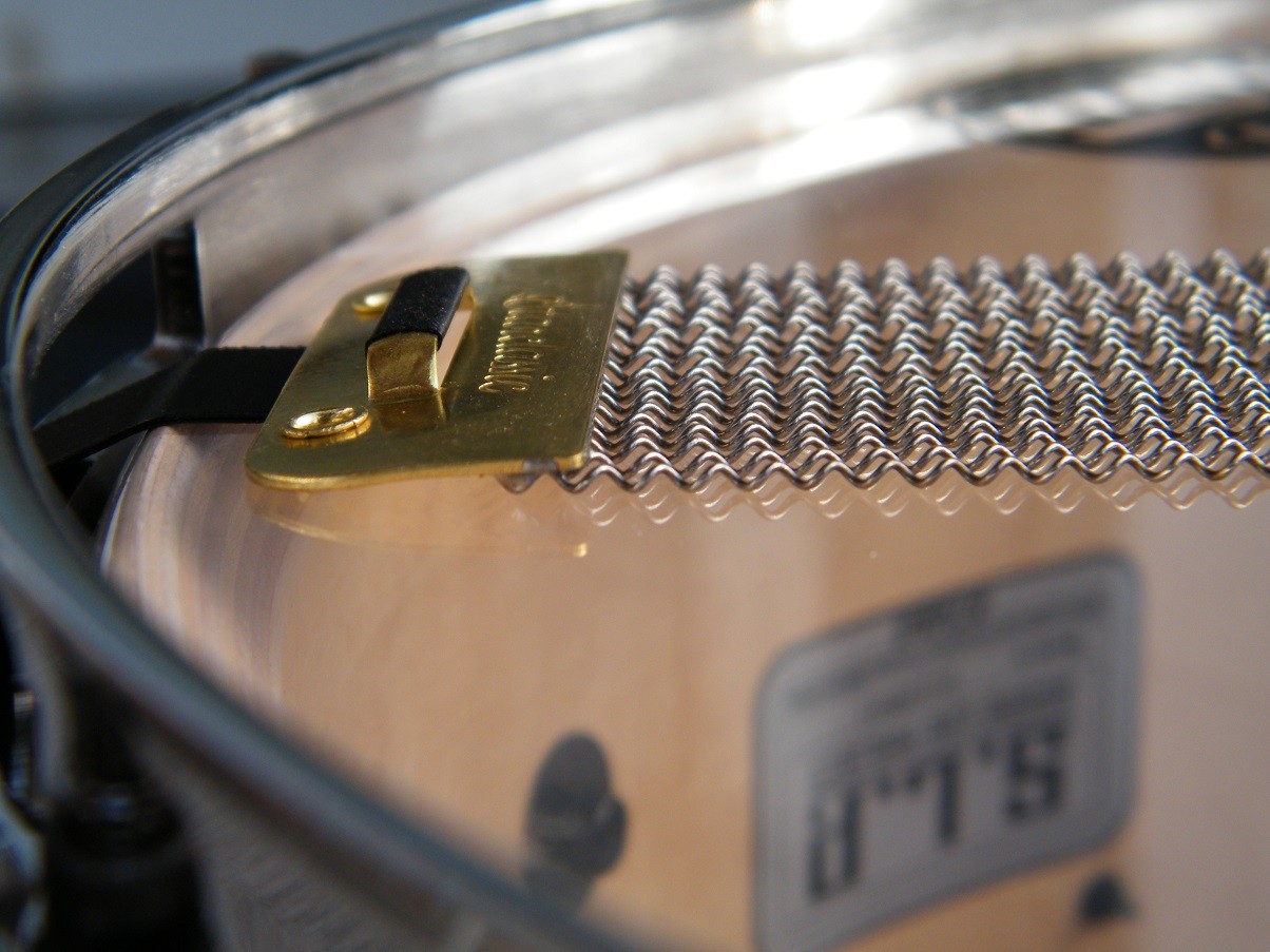 TAMA SLP 02.JPG