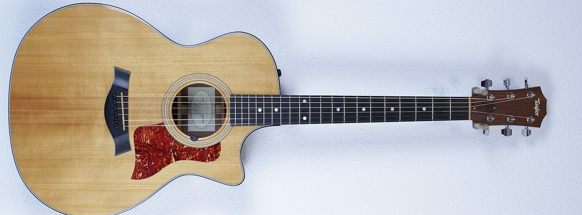 Taylor_314ce_2009_F.jpg