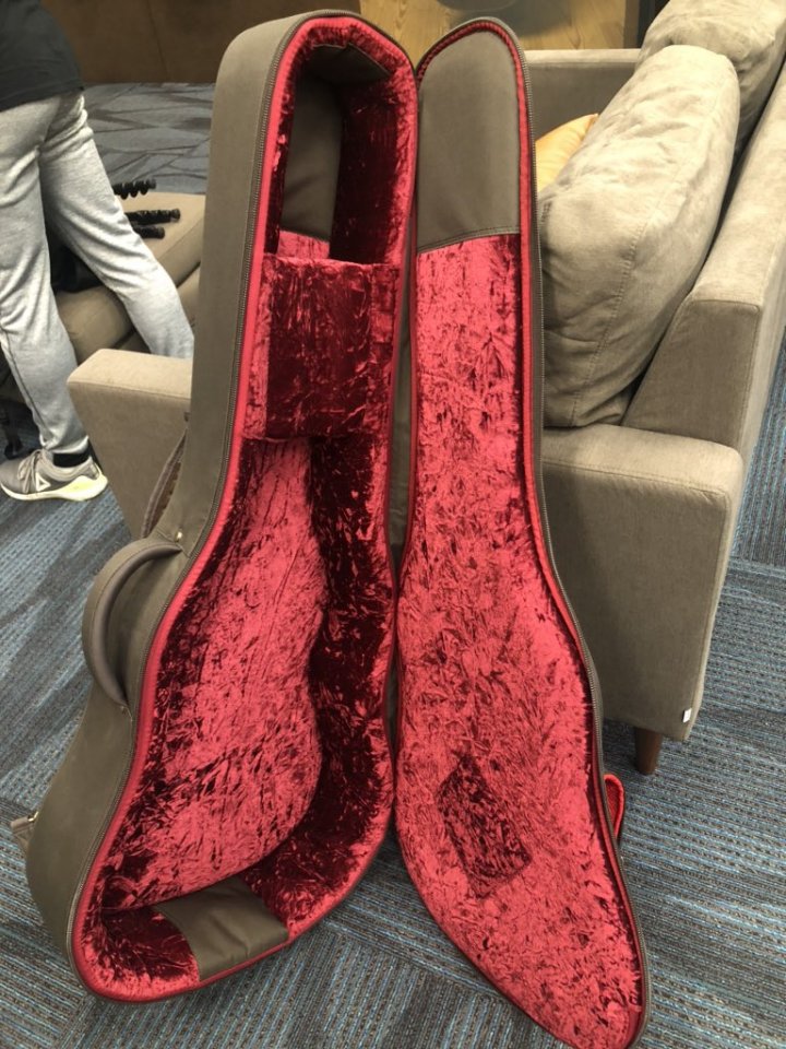 Taylor_AeroCase_2.jpg