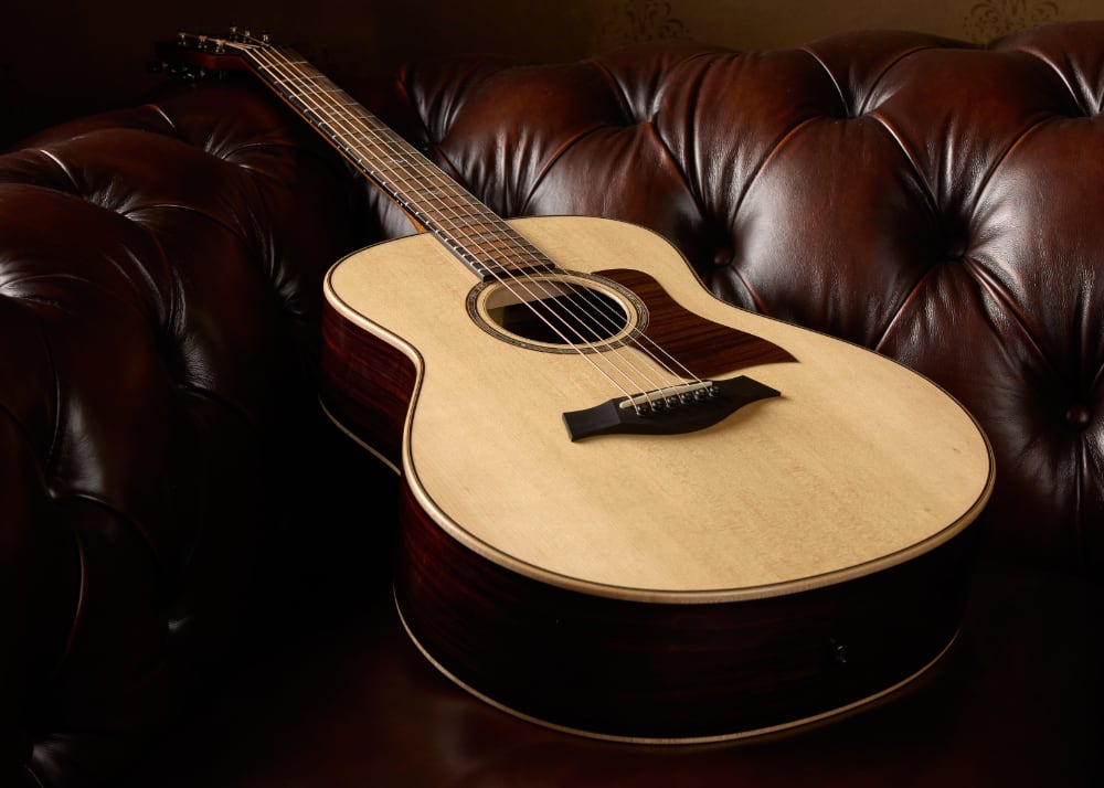 TAYLOR_NAMM_3_s.jpg
