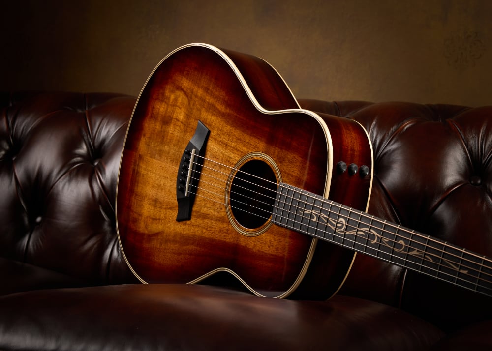 TAYLOR_NAMM_4_s.jpg