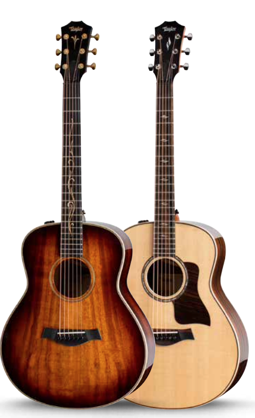 TAYLOR_NAMM_5.png