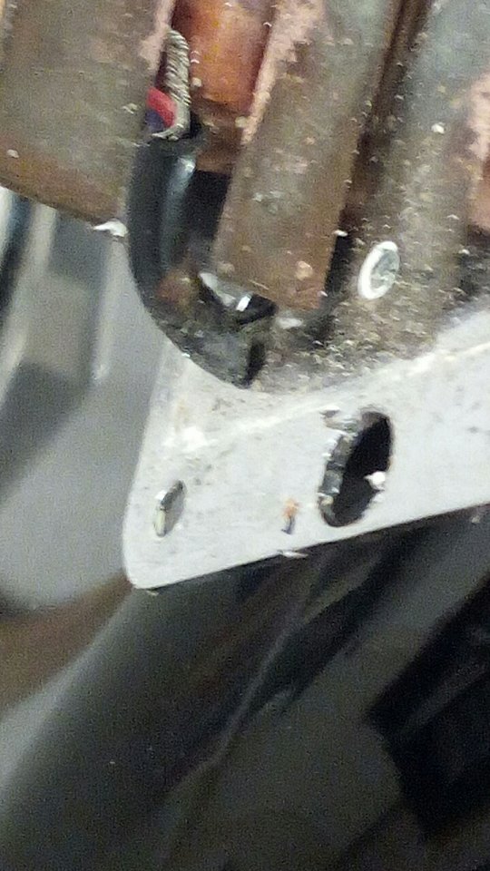 Teisco Schirmung.jpg