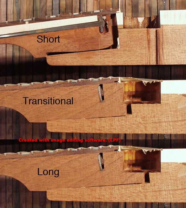 Tenons.webp