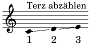 terz-ce.png