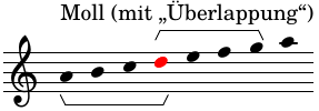 tetra-moll1.png