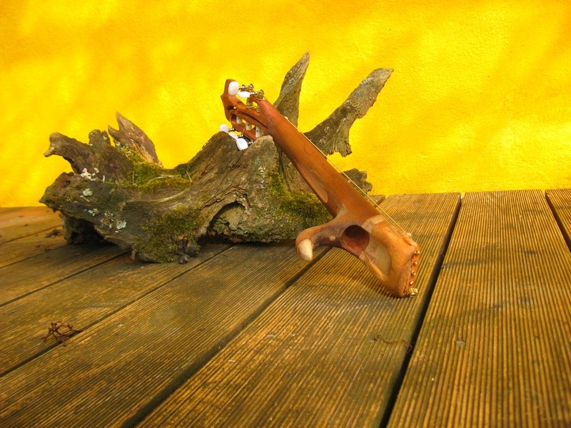 the claw2.jpg