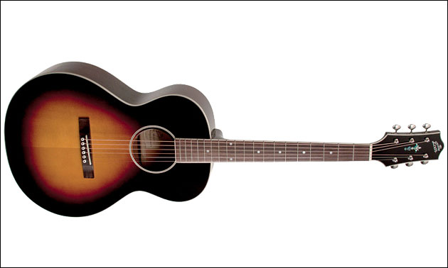 the-loar-lh250-sn.jpg