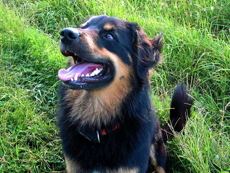 Timo_2007_07.jpg