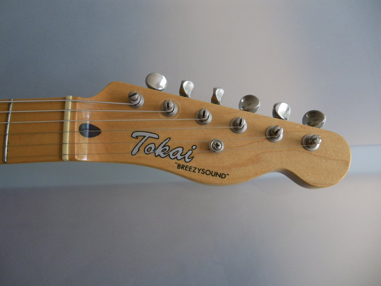 Tokai Tele 002.JPG