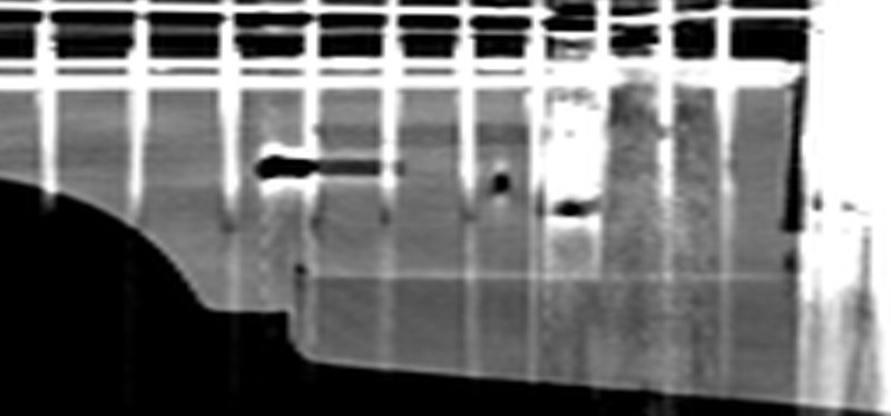 tokaicatscan2.jpg