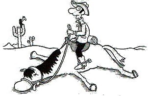 totes-pferd-reiten.jpg