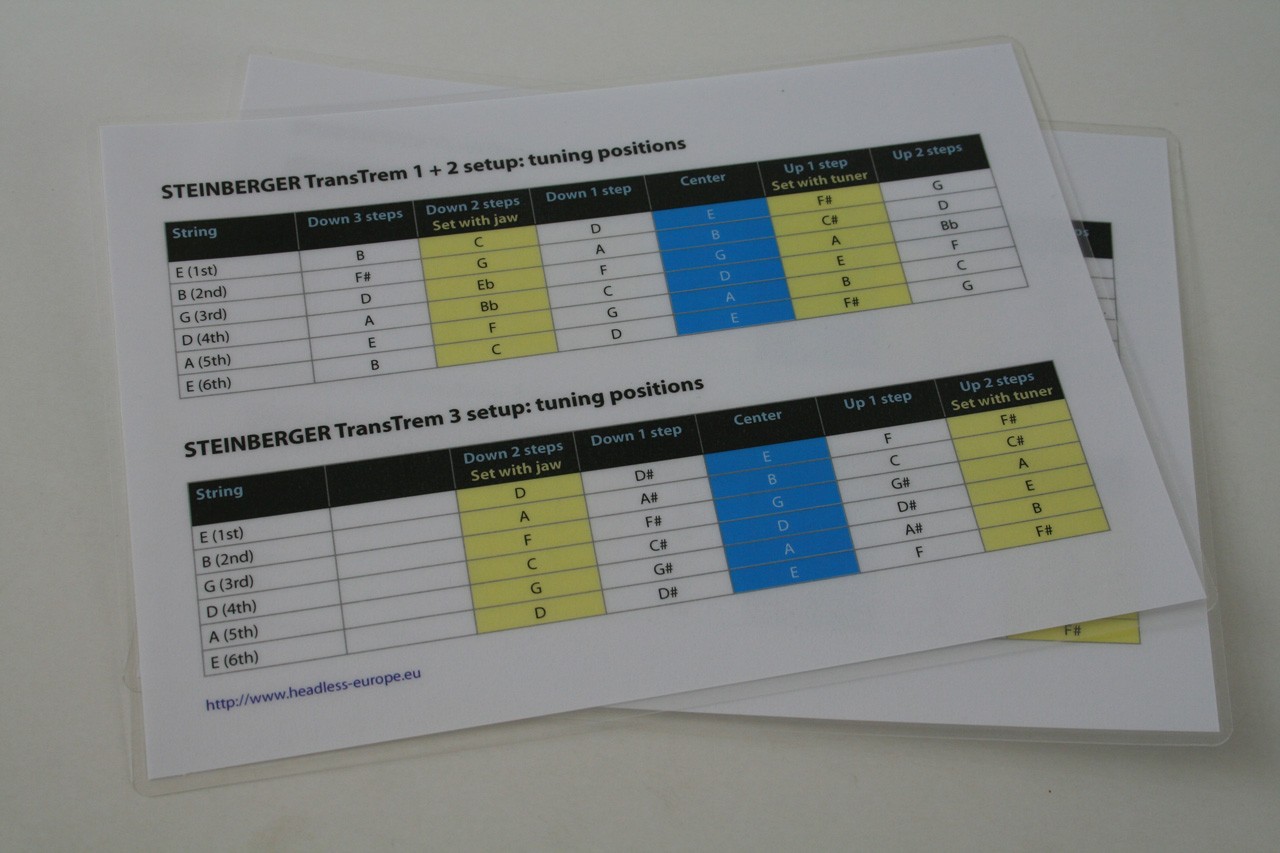 TransTrem_Setup_Chart_2.jpg