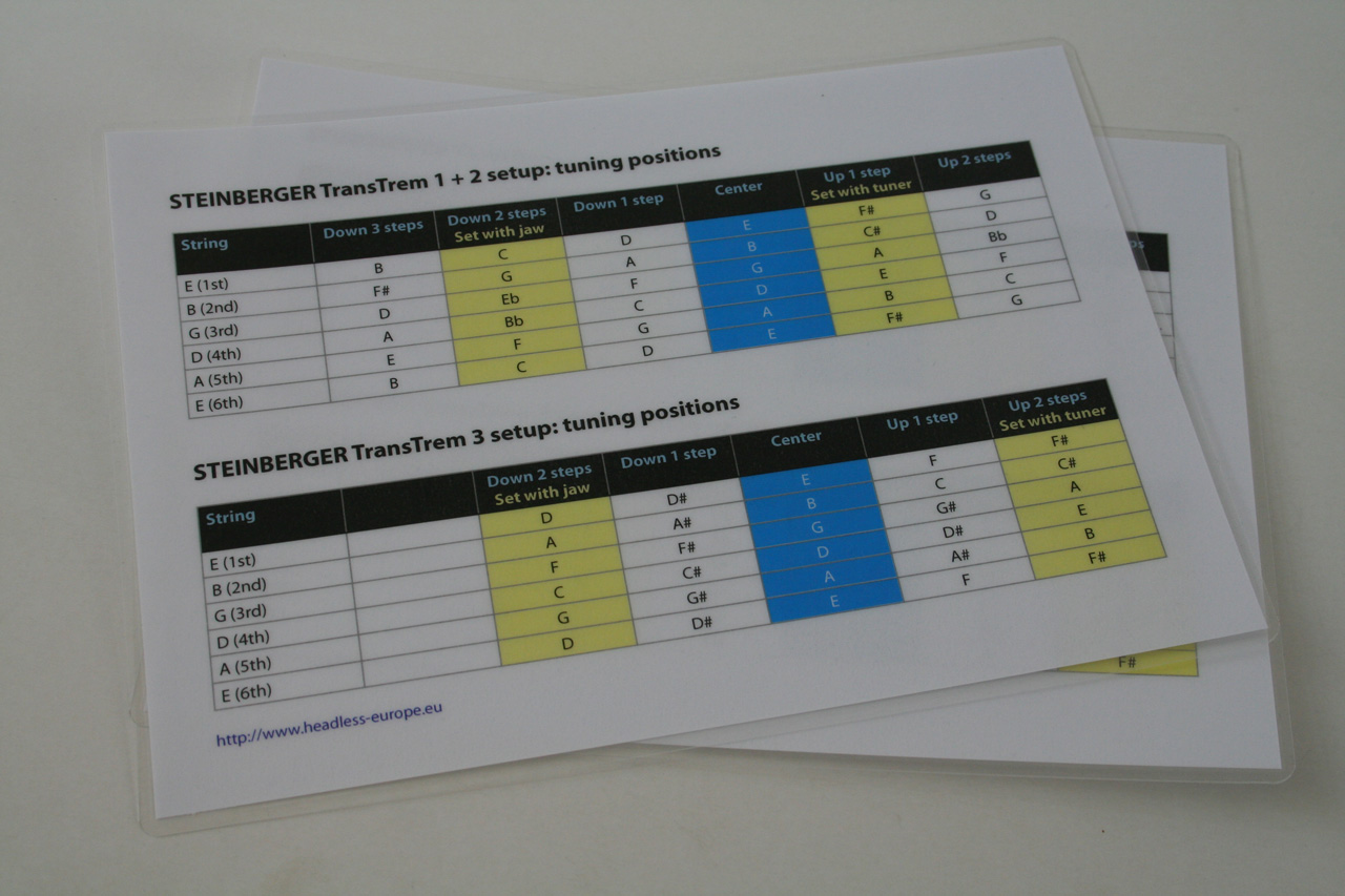 TransTrem_Setup_Chart_2.jpg