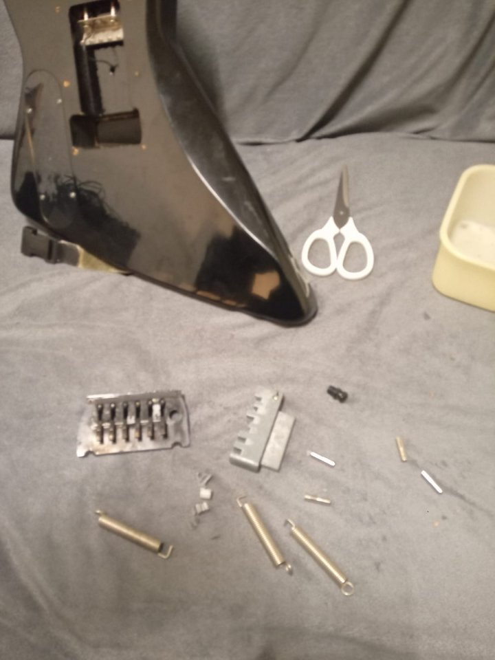 tremolo_2.jpg