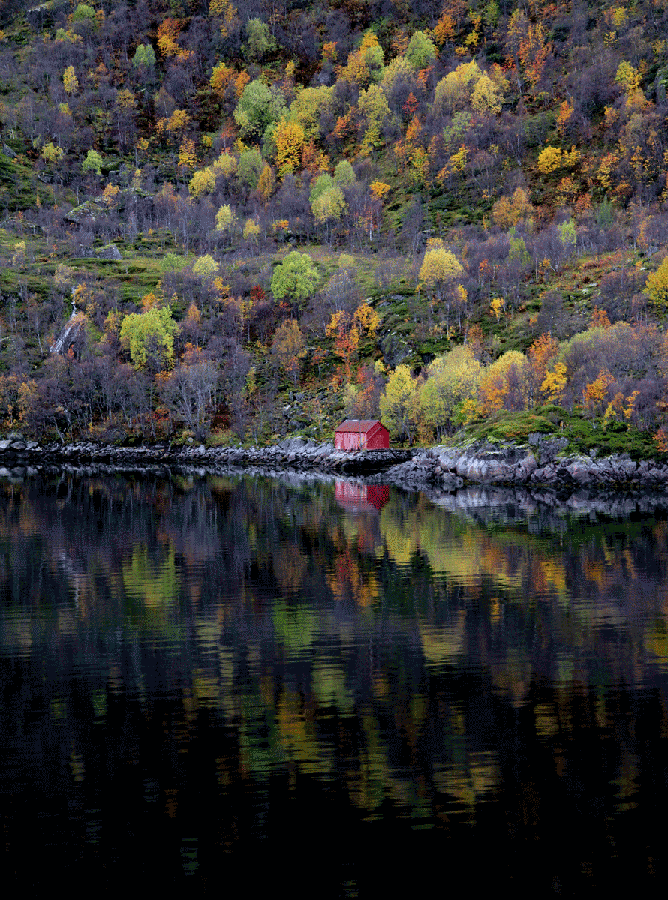 Trollfjord-Huette_9475-web.gif