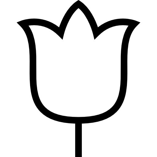 tulpe.jpg