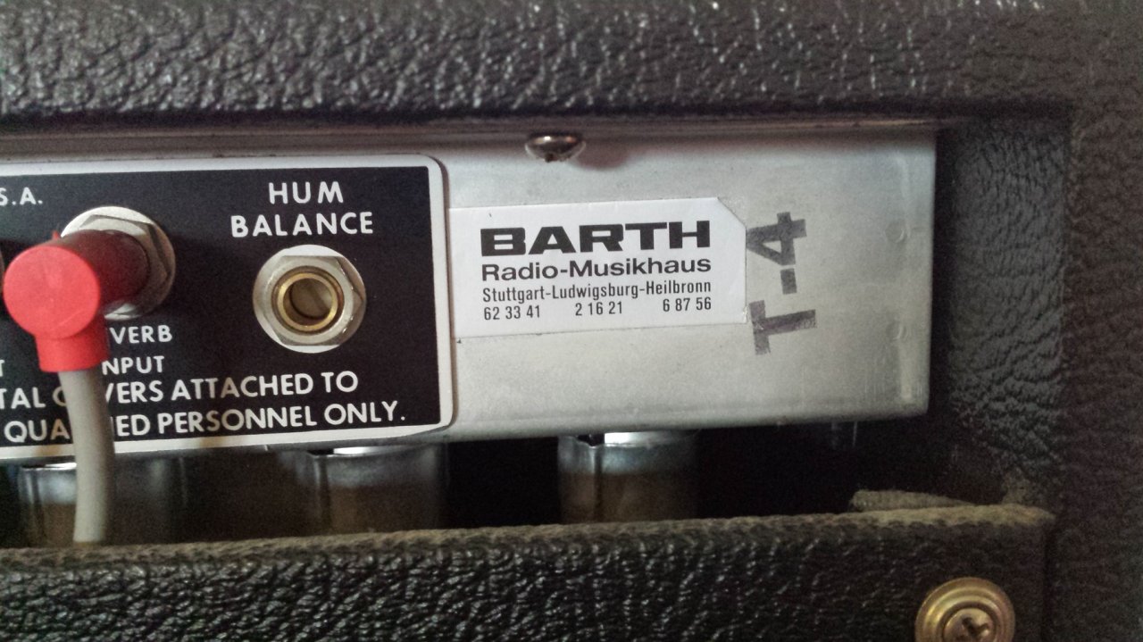 Twin Reverb (10).jpg