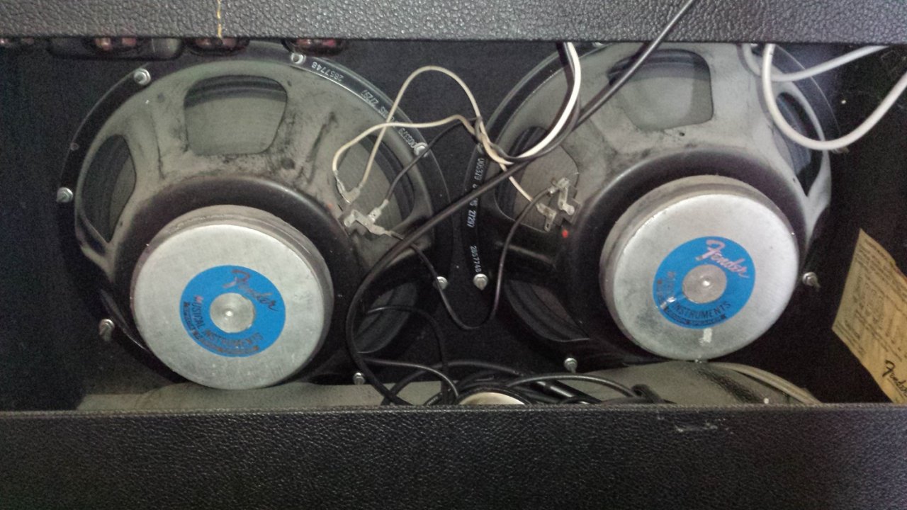 Twin Reverb (11).jpg
