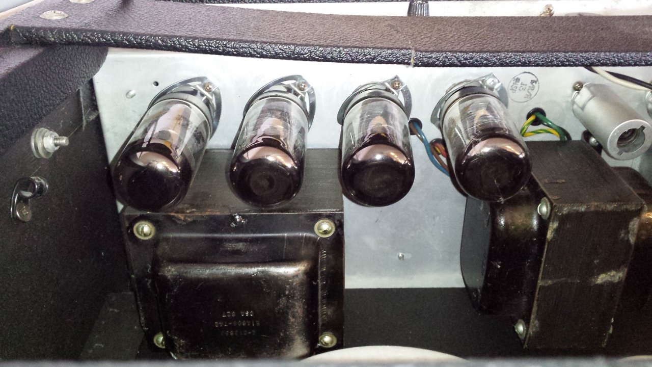 Twin Reverb (15).jpg