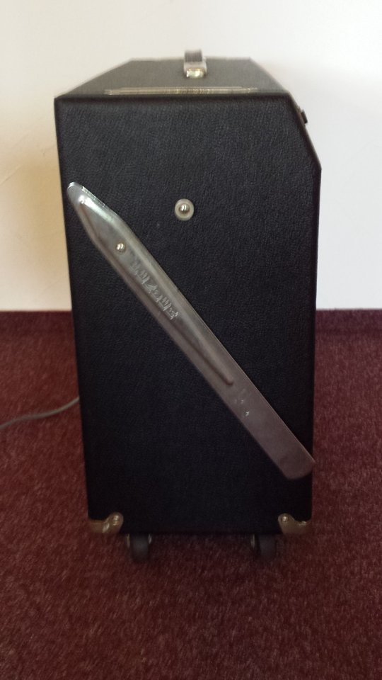 Twin Reverb (20).jpg