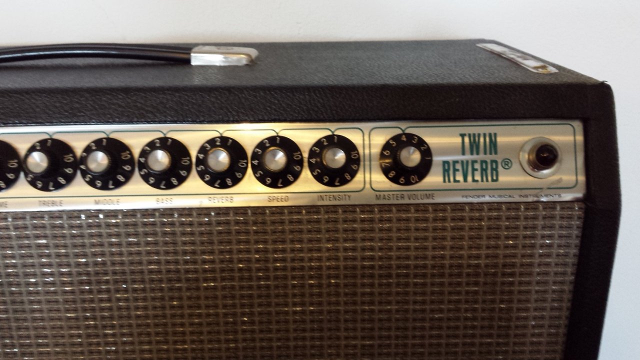 Twin Reverb (5).jpg