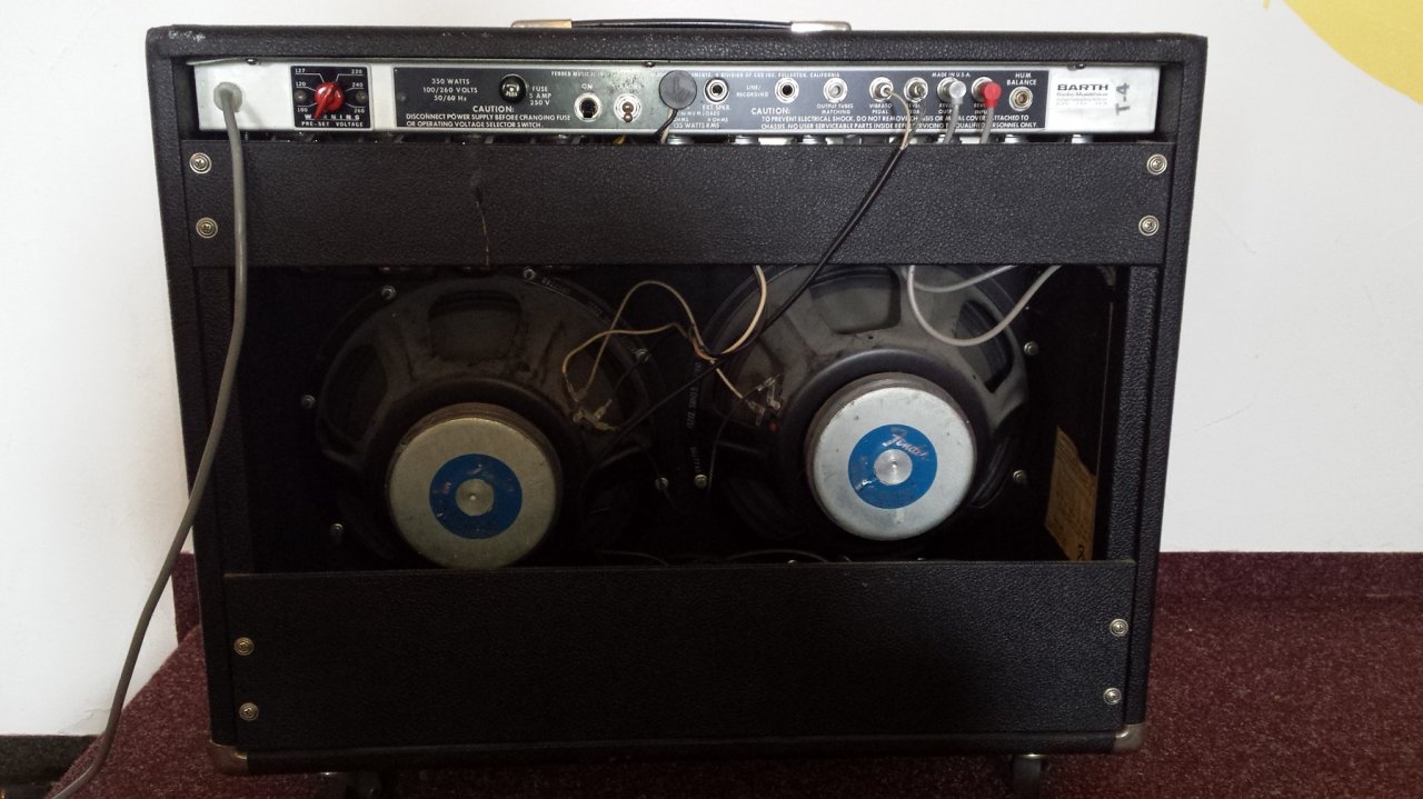 Twin Reverb (6).jpg