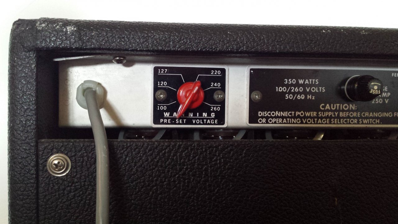 Twin Reverb (7).jpg