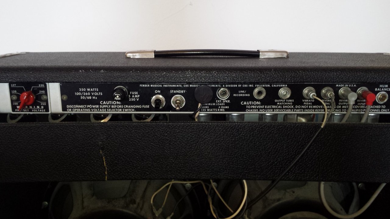 Twin Reverb (8).jpg