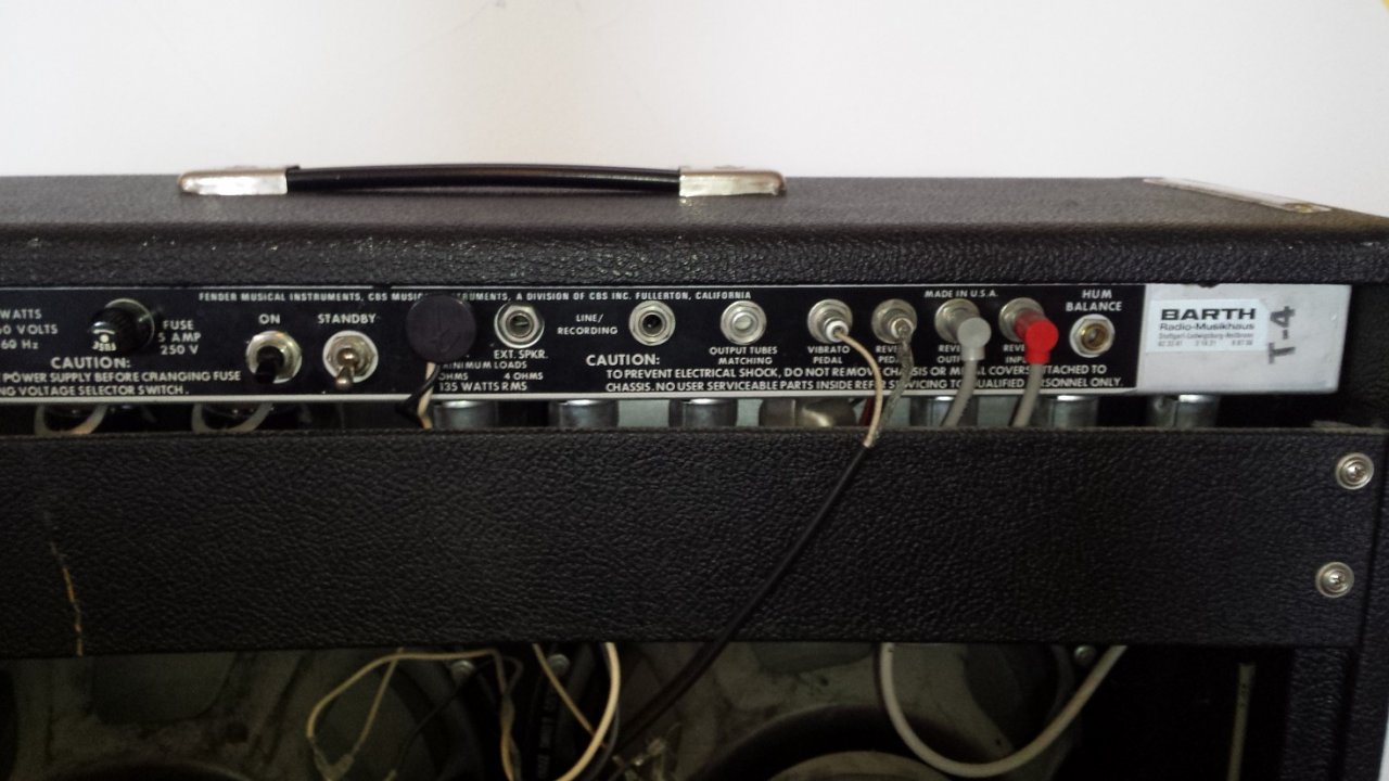 Twin Reverb (9).jpg