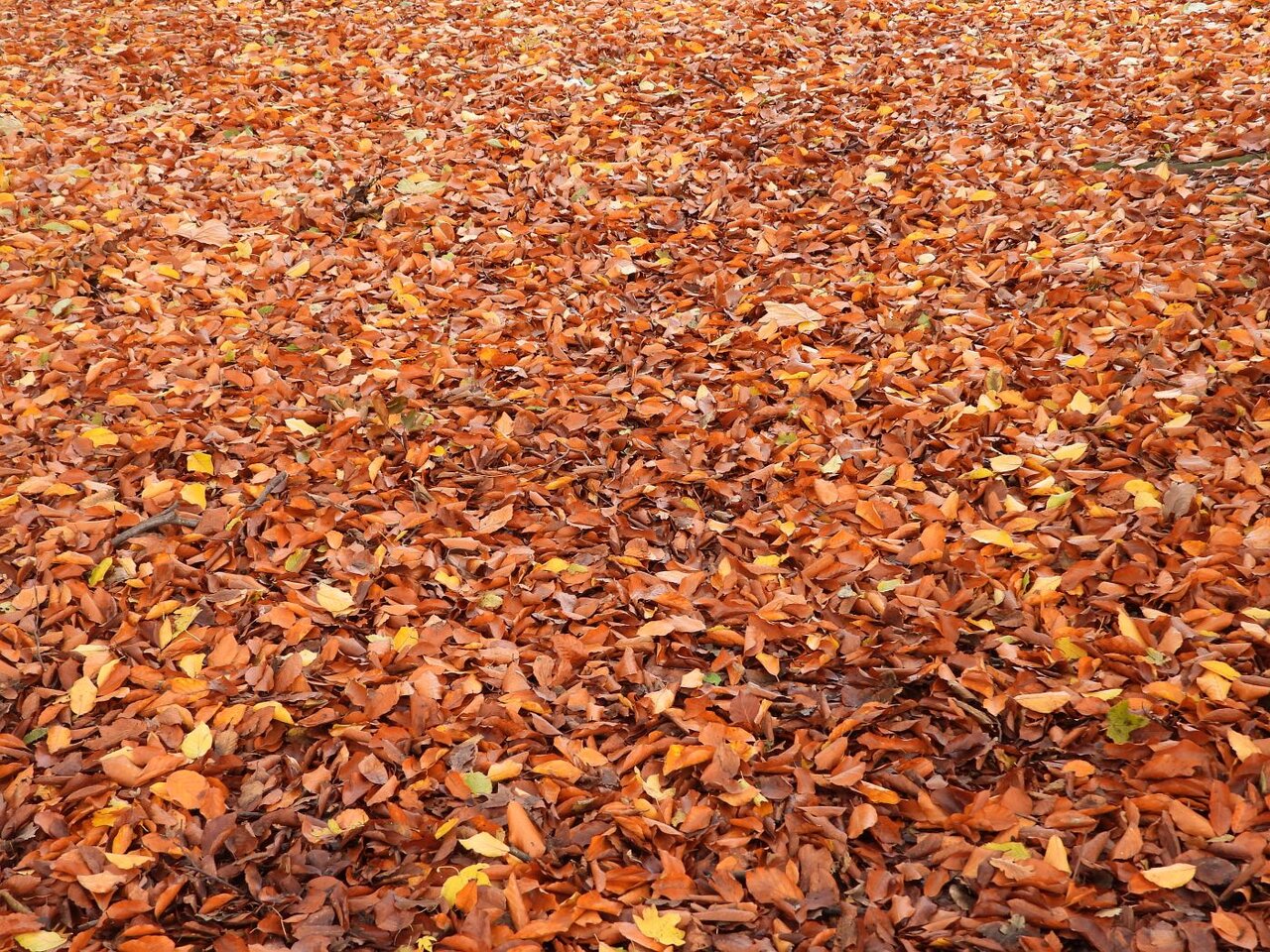 u concretebox - walter-möller-park 15.11 4.jpg