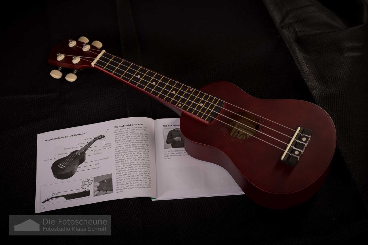 ukulele (0005 von 0014).jpg