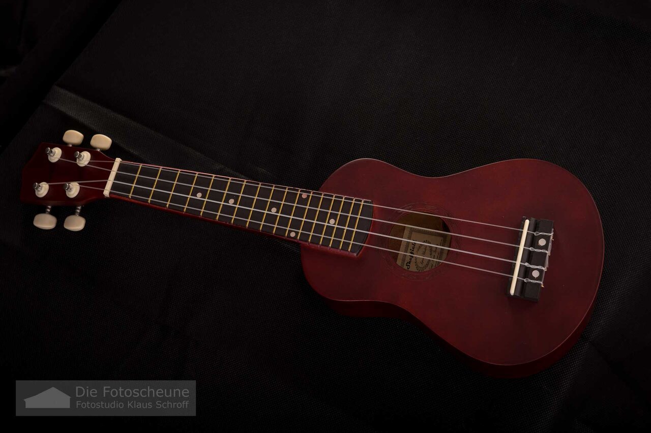 ukulele (0006 von 0014).jpg