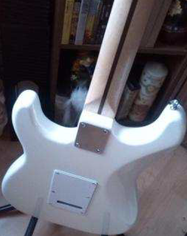 upload_2015-11-24_15-35-54.png