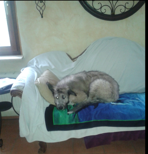 upload_2015-11-27_12-17-9.png