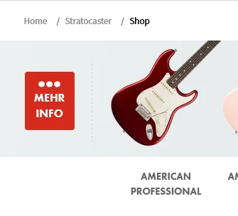 Fender Guitar