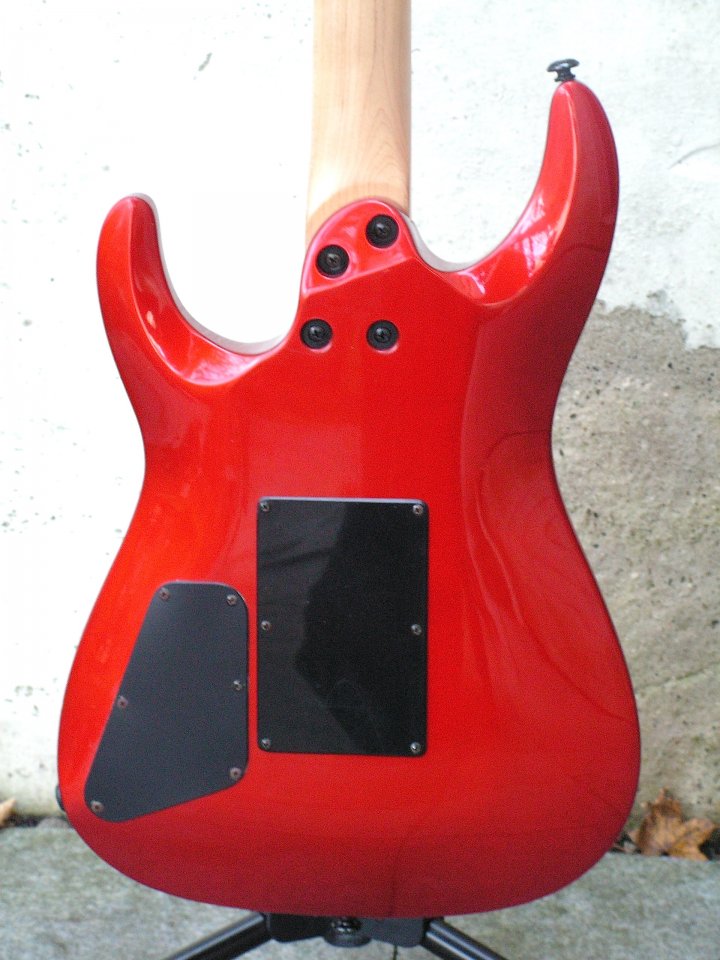 Vester body back.jpg