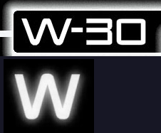 W30.png