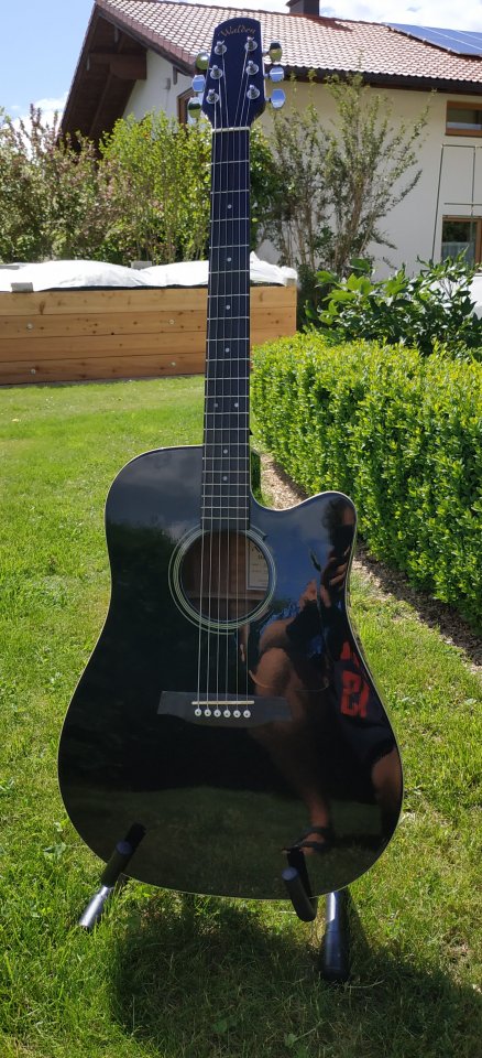 Walden D350 CEB.jpg