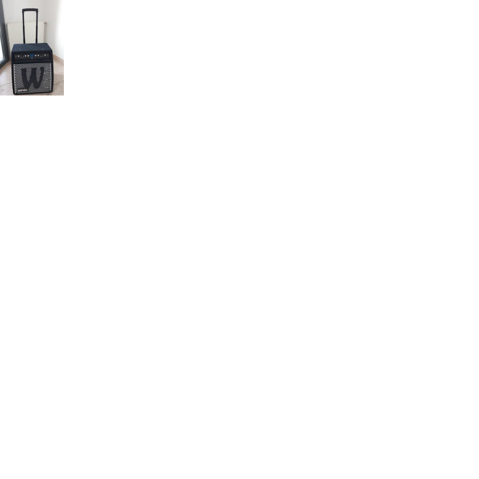 warwick_amp.png