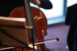 was-kostet-ein-gutes-cello.jpg