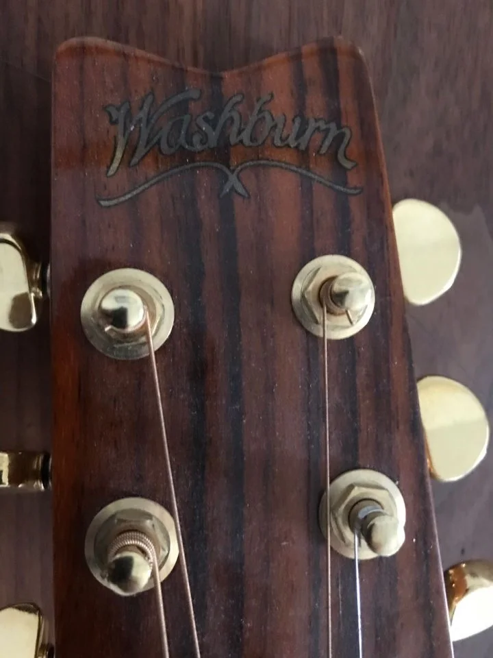 Washburn 1.jpg