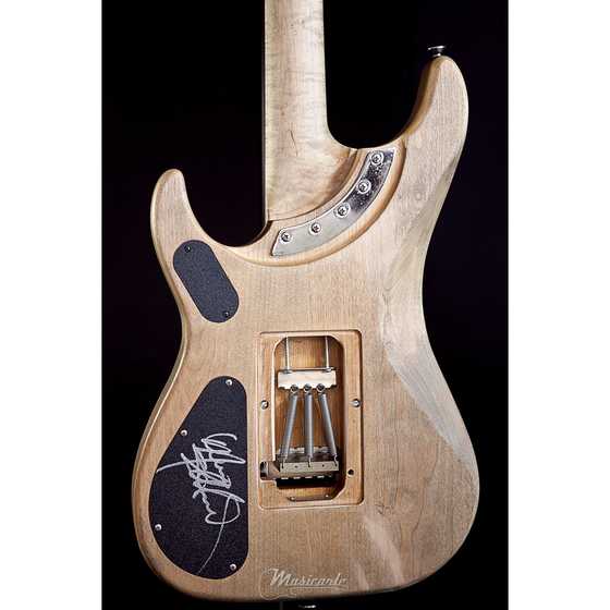 washburn n4 authentic.jpg