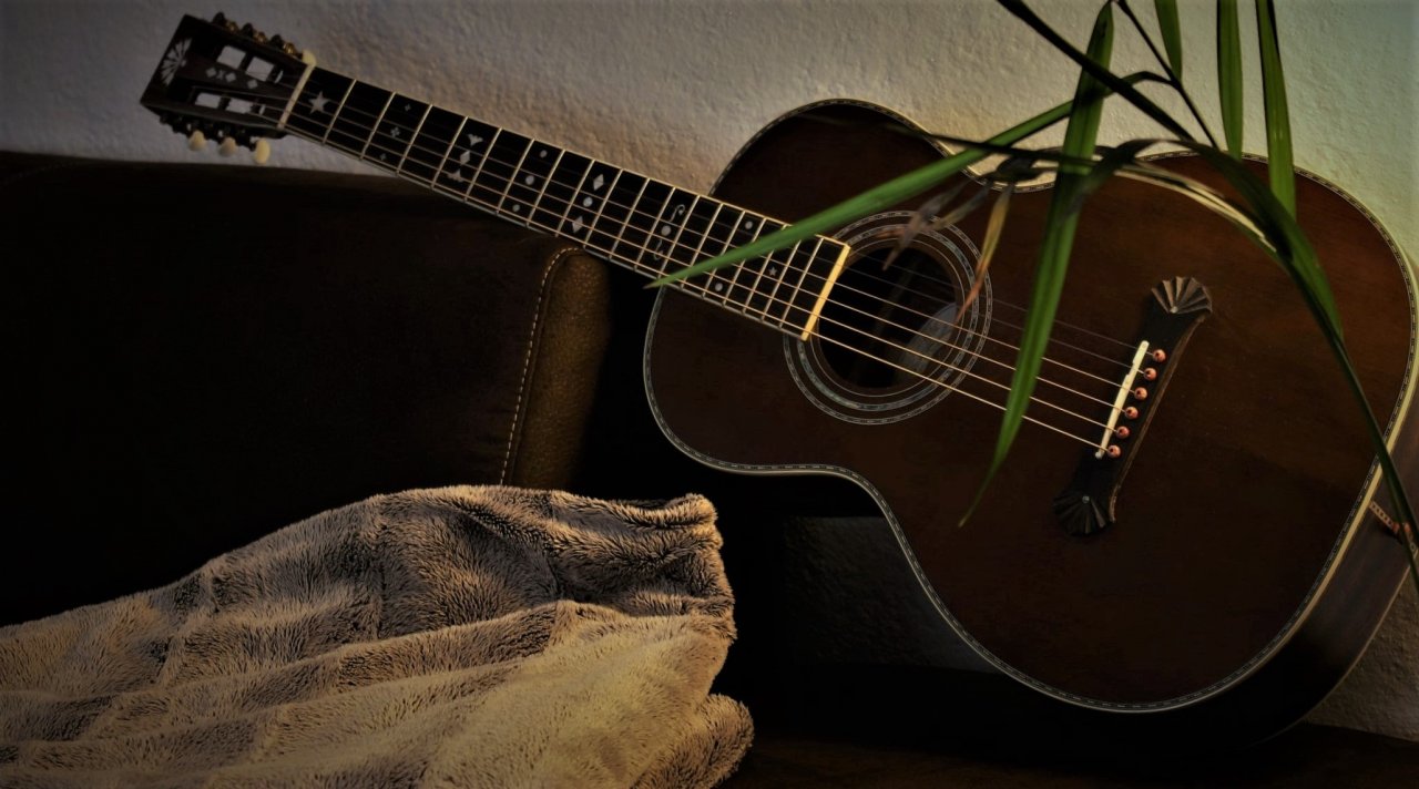 Washburn R314KK.JPG