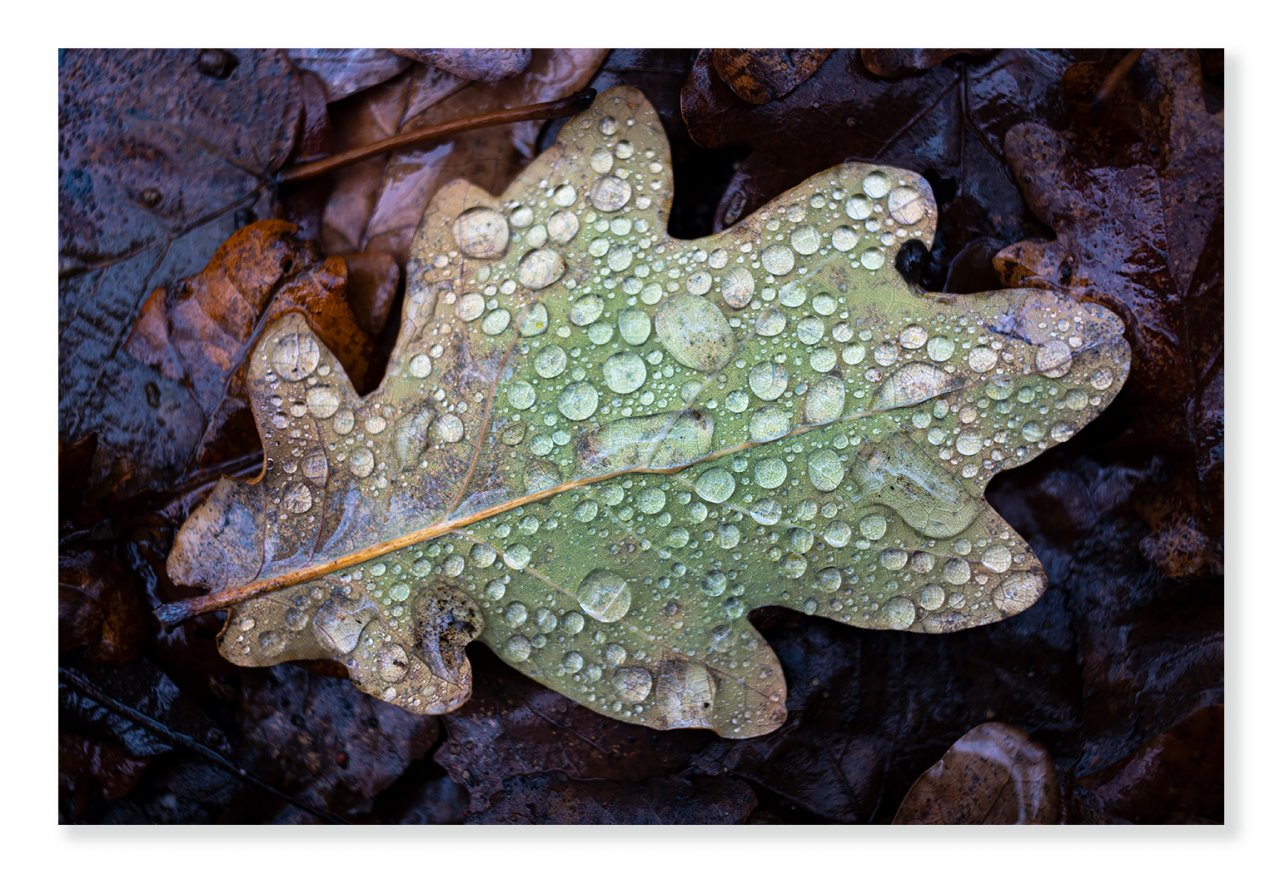 water-pearls-1400px.jpg