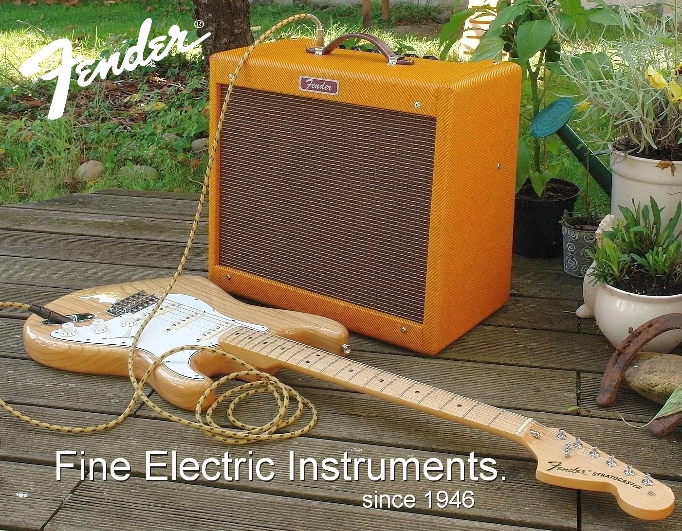 Wbg_Fender.webp