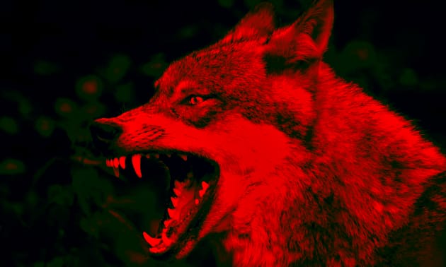 Werwolf.jpg