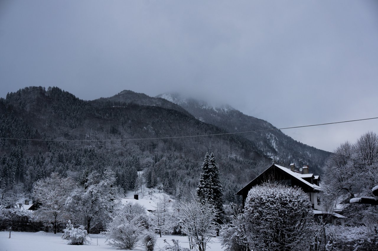 Wildbarren (1 von 1).jpg